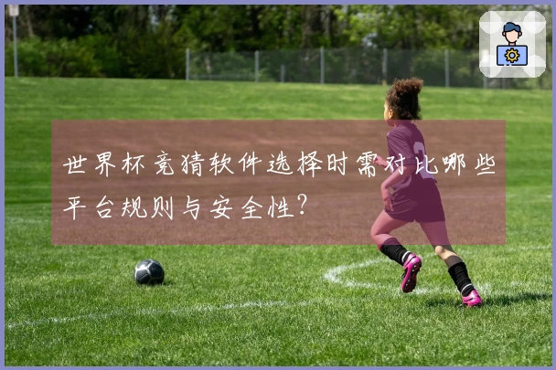 世界杯竞猜软件选择时需对比哪些平台规则与安全性?
